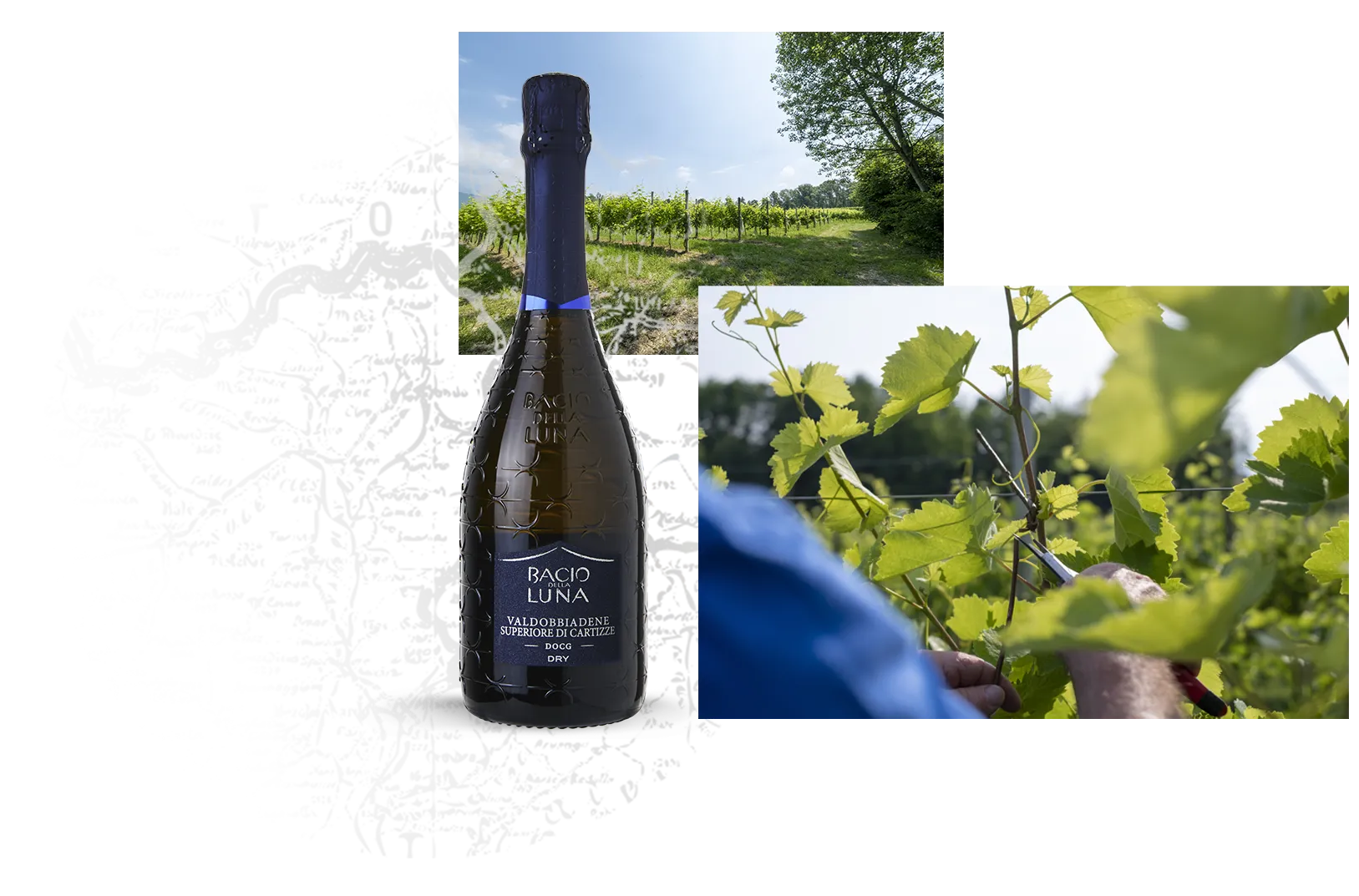 BAcio della luna - vigne e prosecco superiore Cartizze