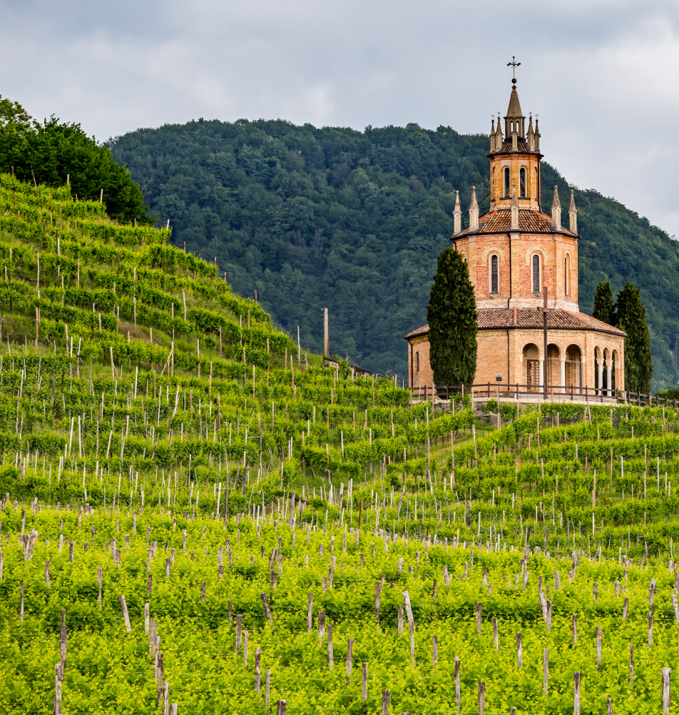 Produzione prosecco sostenibile certificazione Equalitas cantina Vidor